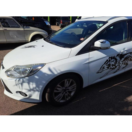 Porte arriere droit FORD  d’occasion