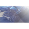 Boite de vitesses RENAULT GRAND SCENIC 3 PHASE 1 d’occasion