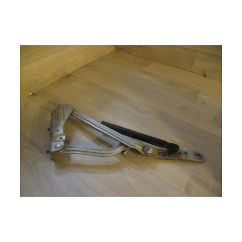 Verin de coffre droit RENAULT MEGANE 2 PHASE 1 d’occasion