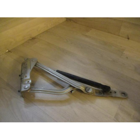 Verin de coffre droit RENAULT MEGANE 2 PHASE 1 d’occasion