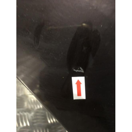 Capot OPEL INSIGNIA 1 PHASE 1 d’occasion
