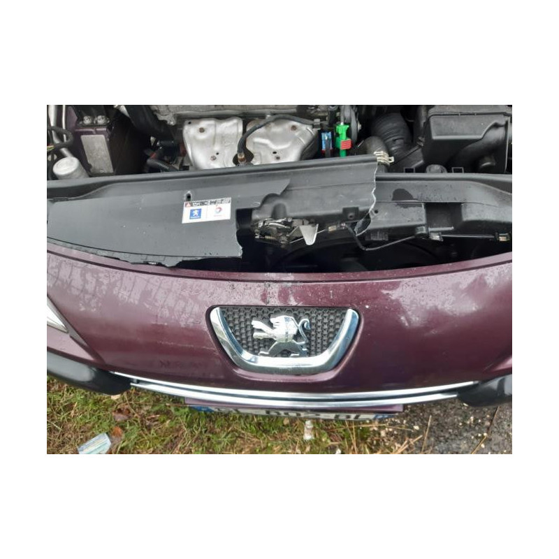 Jante PEUGEOT 307 PHASE 2 d’occasion