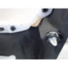 Panneau de porte avant gauche RENAULT CLIO 4 PHASE 1 d’occasion