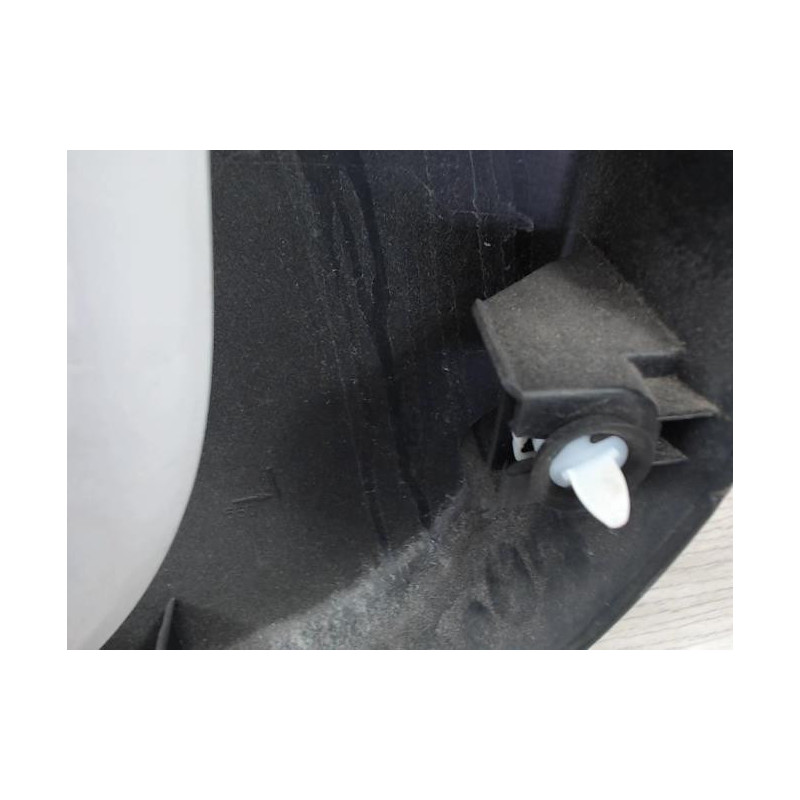 Panneau de porte avant gauche RENAULT CLIO 4 PHASE 1 d’occasion