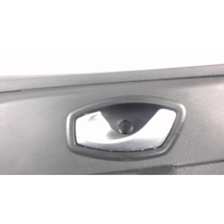 Panneau de porte avant gauche RENAULT CLIO 4 PHASE 2 d’occasion