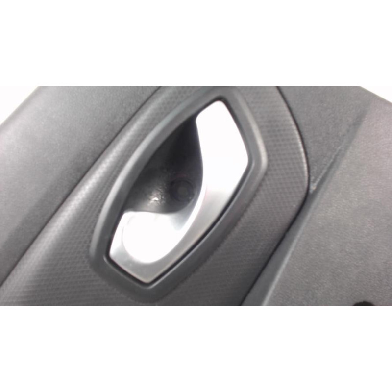 Panneau de porte avant gauche RENAULT CLIO 4 PHASE 2 d’occasion