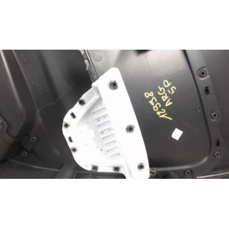 Panneau de porte avant gauche RENAULT CLIO 4 PHASE 2 d’occasion