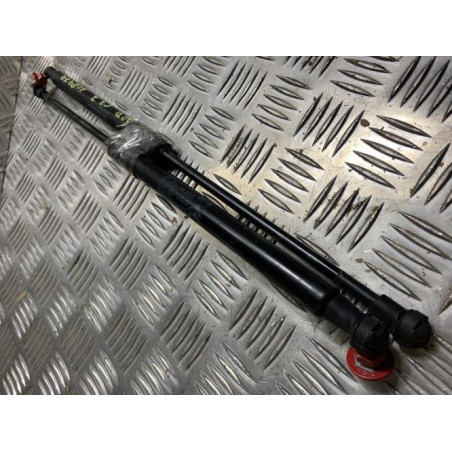 Verin de coffre CITROEN C3 3 PHASE 1 d’occasion