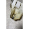 Vase de lave glace CITROEN C2 PHASE 1 d’occasion