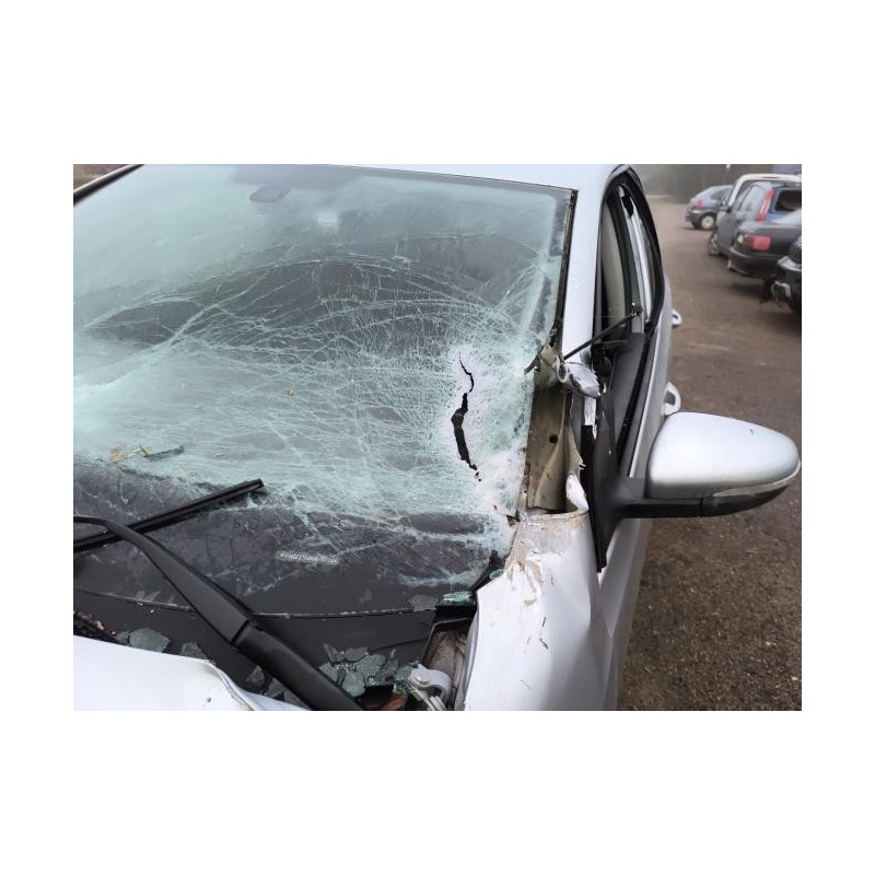 Poignee de maintien avant gauche VOLKSWAGEN GOLF 6 d’occasion