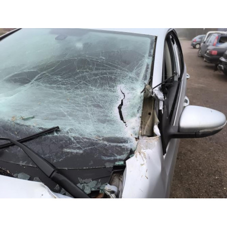 Poignee de maintien avant gauche VOLKSWAGEN GOLF 6 d’occasion