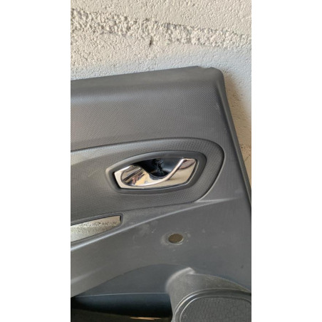 Panneau de porte arriere gauche RENAULT CLIO 4 PHASE 1 BREAK d’occasion