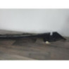 Baie de pare brise PEUGEOT 3008 2 PHASE 2 d’occasion