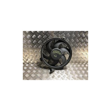 Moto ventilateur radiateur PEUGEOT EXPERT 2 d’occasion