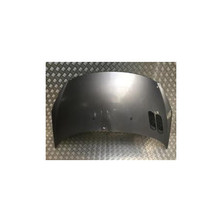 Capot PEUGEOT 206+ d’occasion