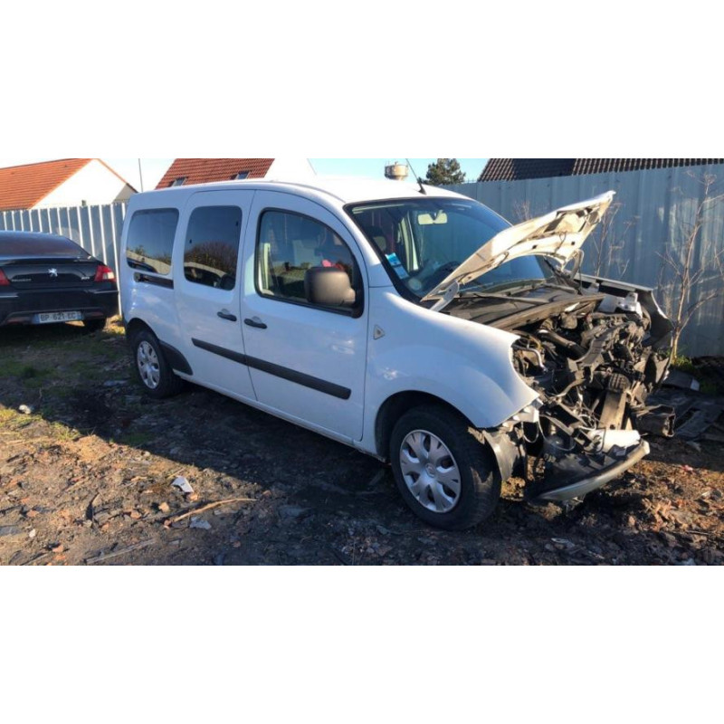 Baguette de porte arriere gauche  RENAULT KANGOO 2 PHASE 1 d’occasion