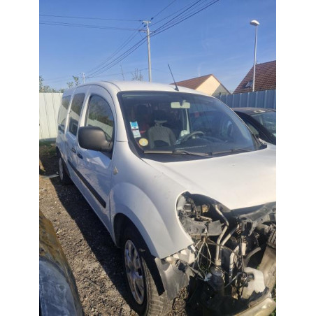 Baguette de porte arriere gauche  RENAULT KANGOO 2 PHASE 1 d’occasion