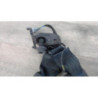 Attache ceinture arriere centrale RENAULT MEGANE 4 PHASE 1 d’occasion