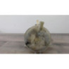 Vase d'expansion RENAULT KANGOO 1 PHASE 2 d’occasion