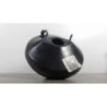 Mastervac CITROEN C4 PICASSO 1 d’occasion