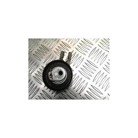 Galet tendeur CITROEN C3 1 PHASE 1 d’occasion