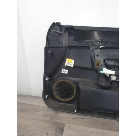 Panneau de porte avant gauche RENAULT LAGUNA 3 PHASE 1 COUPE d’occasion