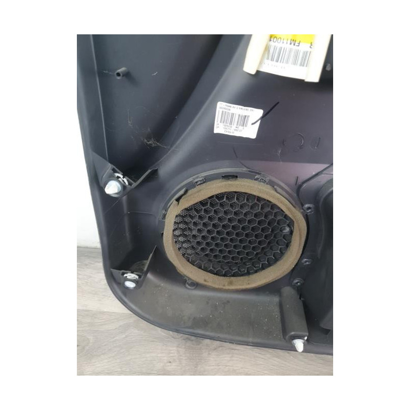 Panneau de porte avant gauche RENAULT LAGUNA 3 PHASE 1 COUPE d’occasion