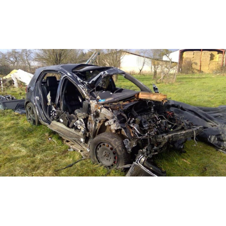 Panneau de porte arriere gauche VOLKSWAGEN GOLF 6 d’occasion