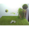 Platine feu arriere gauche FORD FIESTA 6 PHASE 1 d’occasion