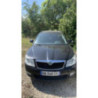 Porte avant gauche SKODA OCTAVIA 2 PHASE 2 BREAK d’occasion