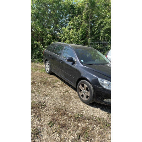 Porte avant gauche SKODA OCTAVIA 2 PHASE 2 BREAK d’occasion