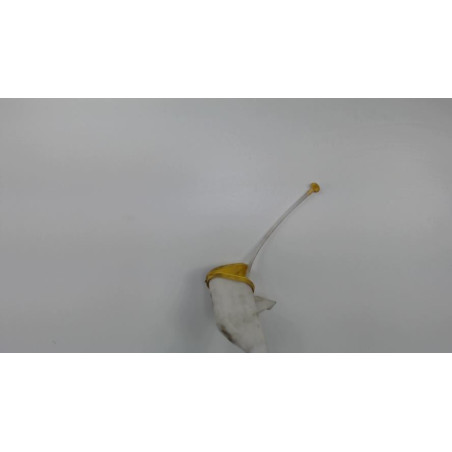 Vase de lave glace RENAULT LAGUNA 3 PHASE 1 COUPE d’occasion