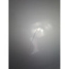 Capot PEUGEOT PARTNER 1 PHASE 2 d’occasion