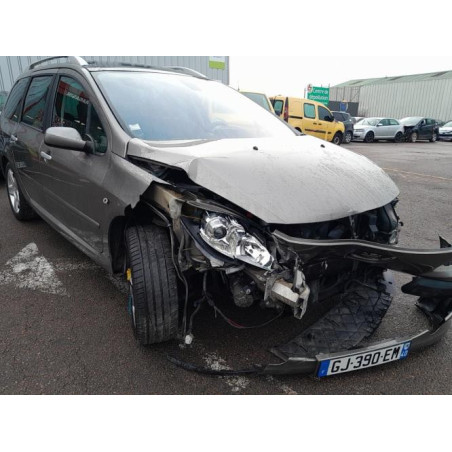 Jante PEUGEOT 307 PHASE 2 BREAK d’occasion