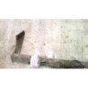 Attelage (boule de remorquage) HYUNDAI COUPE 1 d’occasion