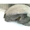 Pare boue arriere droit CITROEN C3 1 PHASE 1 d’occasion