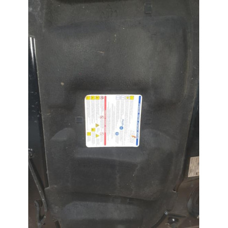 Capot FIAT GRANDE PUNTO d’occasion