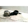 Ceinture arriere gauche TOYOTA YARIS 2 PHASE 1 d’occasion