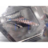 Optique avant principal droit (feux)(phare) VOLKSWAGEN POLO 6 PHASE 1 d’occasion