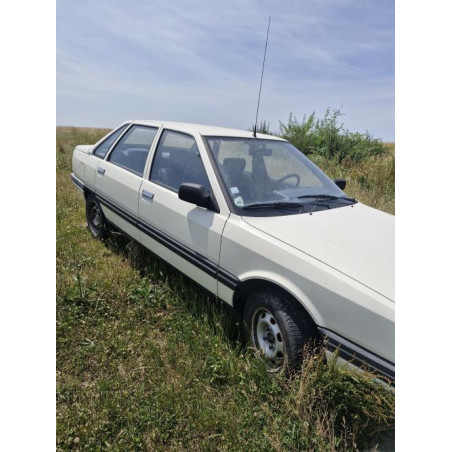 Jante RENAULT R21 PHASE 1 d’occasion