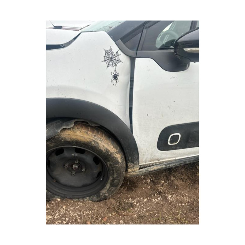 Tambour arriere droit CITROEN C3 3 PHASE 1 d’occasion