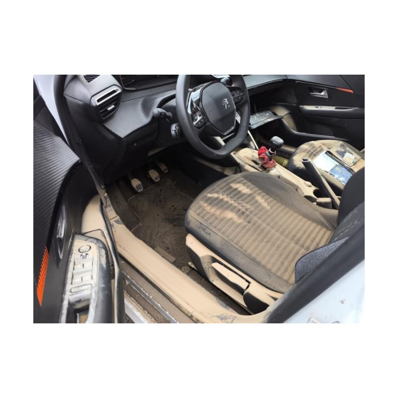 Baie de pare brise PEUGEOT 208 2 d’occasion