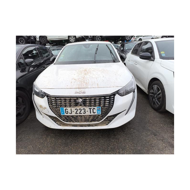 Baie de pare brise PEUGEOT 208 2 d’occasion