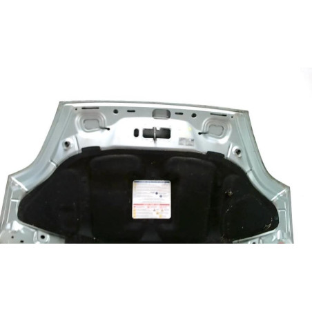 Capot FIAT GRANDE PUNTO d’occasion