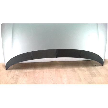 Capot FIAT GRANDE PUNTO d’occasion