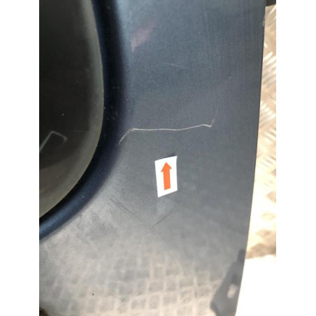 Porte de coffre droit DACIA LOGAN MCV 1 PHASE 2 BREAK d’occasion