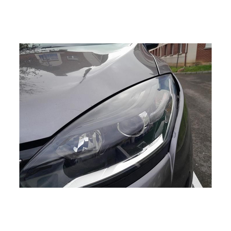 Tirant de porte arriere gauche RENAULT MEGANE 3 PHASE 1 d’occasion