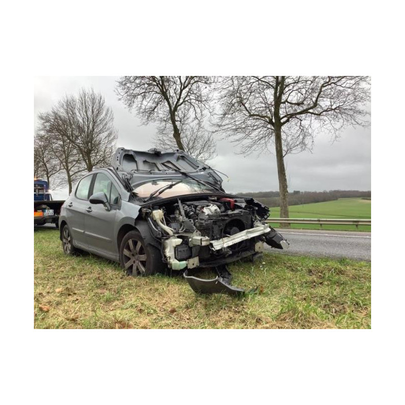 Poignee porte arriere droit PEUGEOT 308 1 PHASE 1 d’occasion
