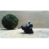 Capteur RENAULT SCENIC 2 PHASE 1 d’occasion
