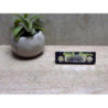 Eclairage de plaque SKODA OCTAVIA 2 PHASE 1 d’occasion